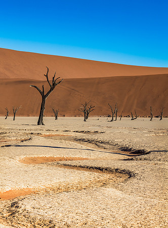 Dead Vlei Rivulet