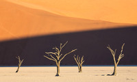 Dead Vlei 5