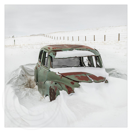 Adrift in the Snow