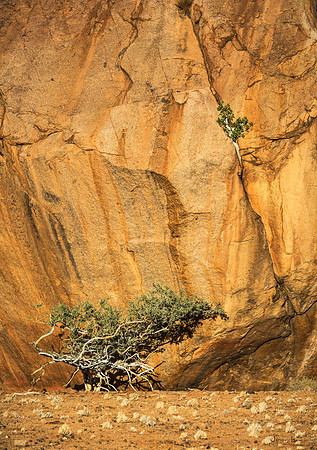 Tiras Mountains, Struggling to Survive