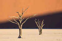 Dead Vlei 6
