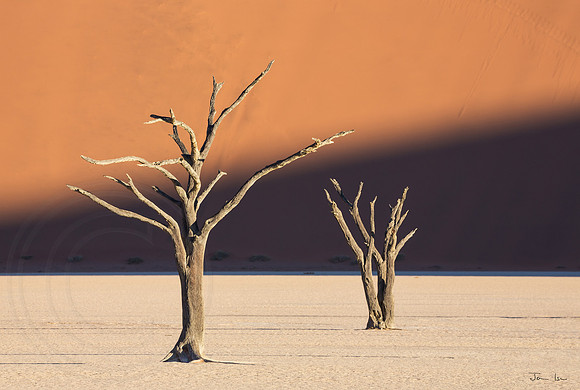Dead Vlei 6