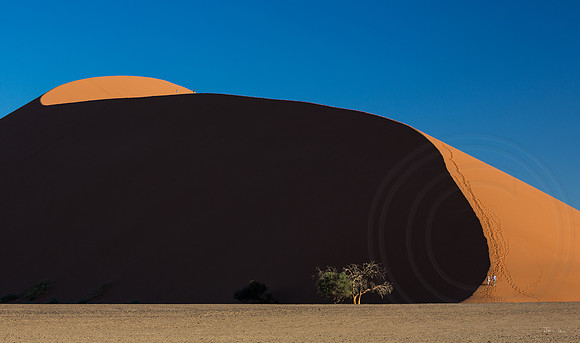 Dune 45
