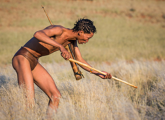 Bushman, Searching for the Prey
