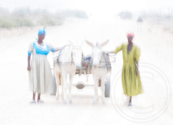 Damaraland, On The Way to Market