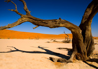 DEADVLEI 1