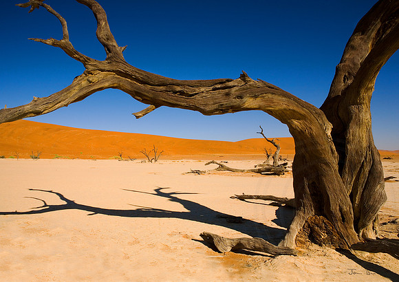 DEADVLEI 1