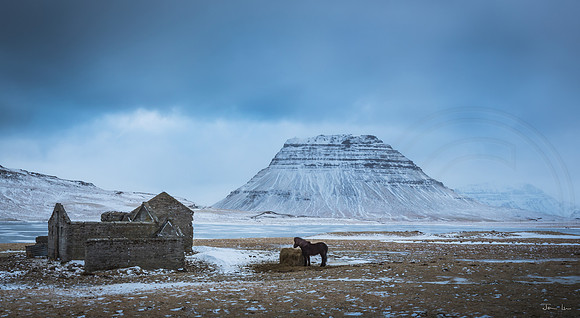 Ruins, Icelandic Horse and Kirkjufell  long crop