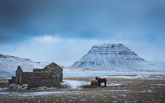 Ruins, Icelandic Pony and Kirkjufell
