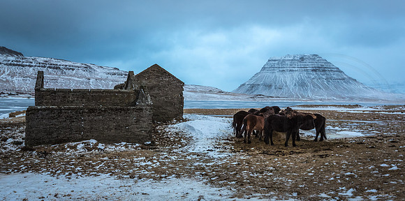 Ruins, Horses and Kirkjufell