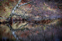 Lake District Reflections 1