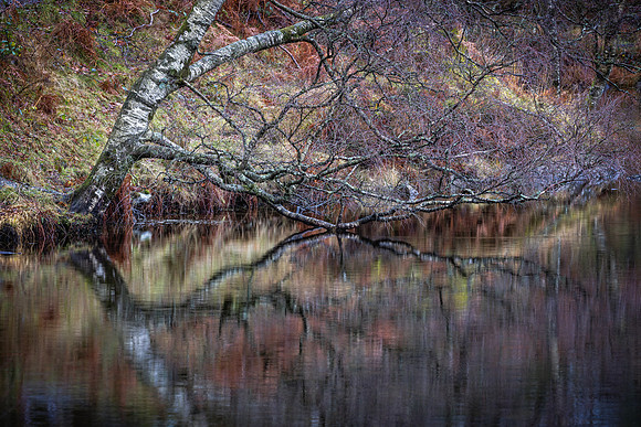 Lake District Reflections 1