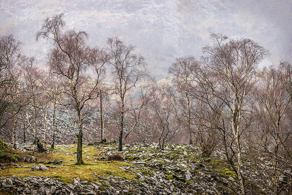 Living Amongst Slate, Lake District