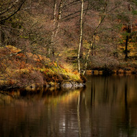 Lake District Detail
