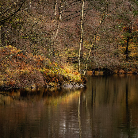 Lake District Detail