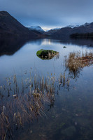 Ullswater Reeds