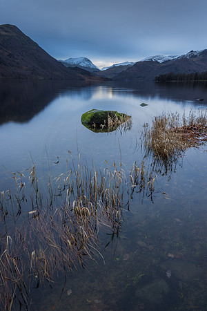 Ullswater Reeds