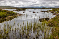 Rannoch Morr