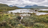Rannoch Morr 3