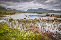 Rannoch Morr 4