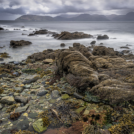 kintyre 5