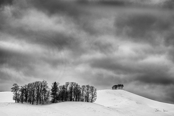 Hill Top Trees
