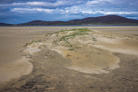 Luskentyre Sand Dune in the Making