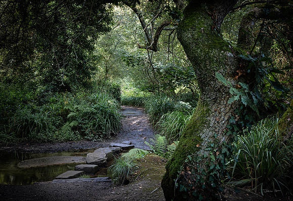 St Catherine's Wood 5