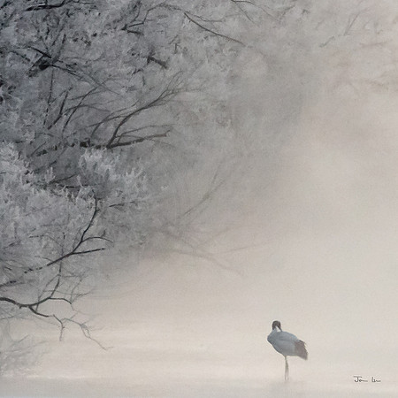 Red Crowned Crane in the Mist