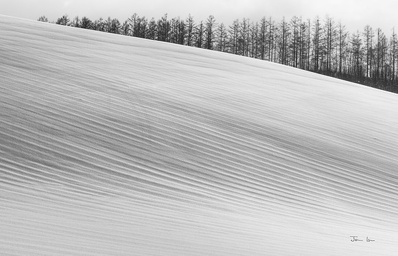 Ploughed Lines in the Snow
