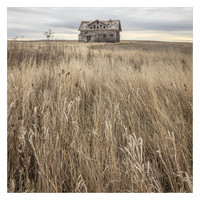 Beautiful Abandoned House in the Middle of Nowhere