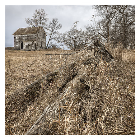 Homestead on a Hill