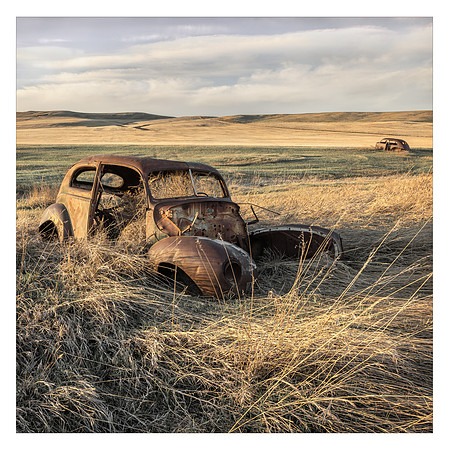Cars in a Field