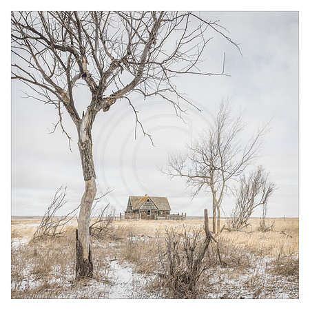 Homestead on the Prairie