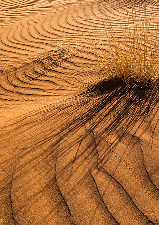 Sand Ripples