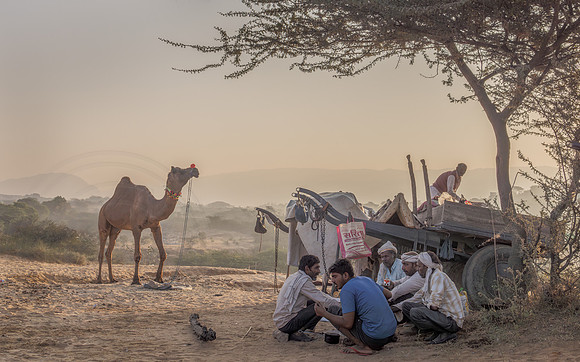 Dawn Meeting