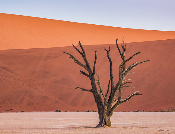 Dead Vlei 16