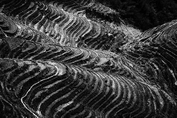 Rice Terraces B&W