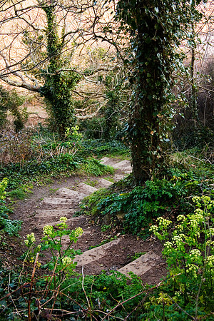 Spring Walk