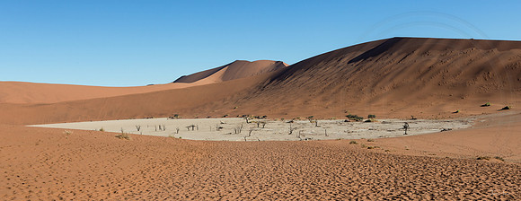 Dead Vlei on it's Own Now