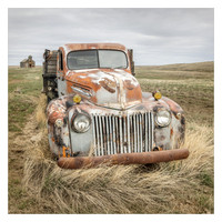 Ford Pickup Truck and Cottonwood School