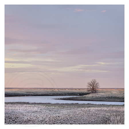 Twilight on the Prairies