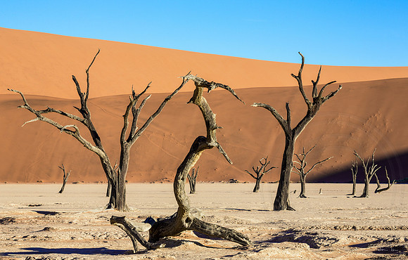 Dead Vlei Characters