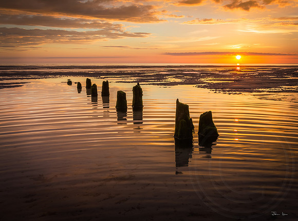 Groynes with Yellow Sunset and Ripples