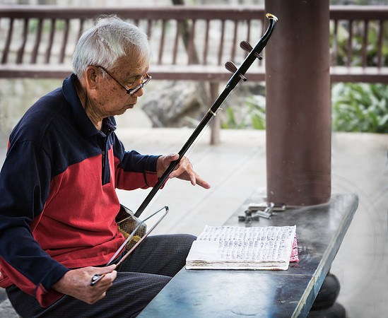 Playing the Erhu (Chinese Musical Instrument)