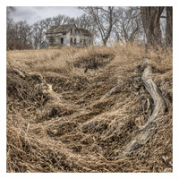 A Once Proud Homestead
