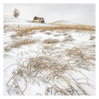 Abandoned Hill Top House with Reeds in Snow