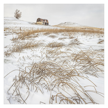 Abandoned Hill Top House with Reeds in Snow
