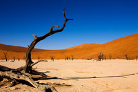 DEADVLEI 3