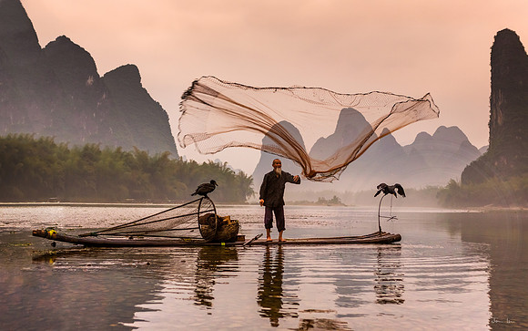 Cormorant Fisherman 11